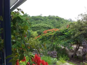 Detached house, Punta Prieta-Jama Manabi beach - Image 3