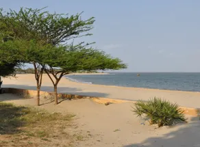 Mangrove House - Image 3