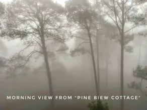 Pine view cottage with Lawn - Image 3