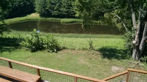Open Season-Peace & quiet w/stocked pond & Hot Tub - Image 4