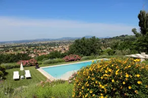 Amazing Assisi - Image 2