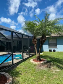 Tropical Pool Retreat - Image 5