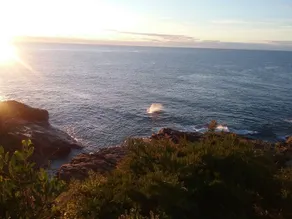 **Blue Point Cottage No 2 Bermagui** - Image 3