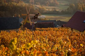Vineyard Cottage Brodaric - Image 4