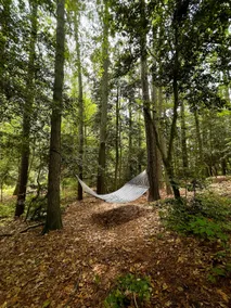 Secluded Coastal House • Only 9 min to the beach - Image 5