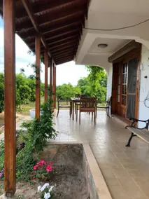 Villa Avocado in the mandarin garden in Özderesi - Image 3