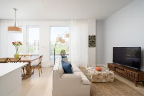 2 BR spectacular penthouse, terrace, Griffintown - Image 5