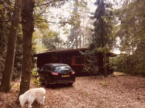The Cabin - Image 3