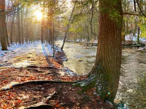 Experience Magical Creekside! Real Fireplace, Ski+ - Image 2