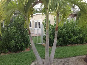 Nicely appointed pool house 1 mile to Beach - Image 4