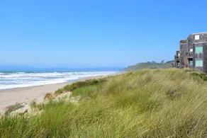 På stranden komfort med fantastisk udsigt, afslappet plads & et skab af badedyr - Image 5