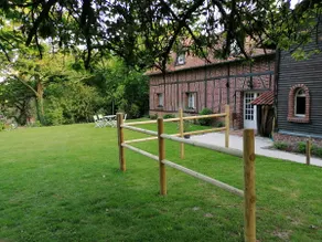 The squirrel orchard - Image 4