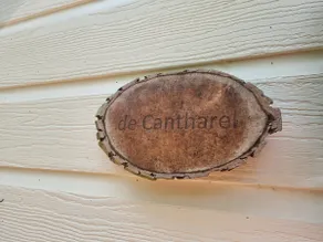 Forest Lodge De Cantharel - Image 5