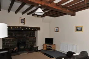 Gwardolau Cottage, chien amical. - Image 3