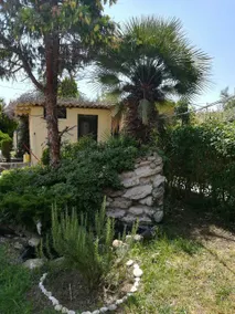 STELLA'S HOUSE - Image 4