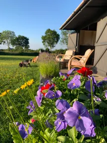 Charming Dog Friendly Barn Conversion & Paddock - Image 5