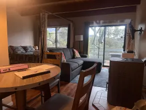 Large Lower Suite in Mountain View Home - Image 2