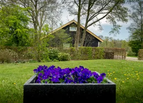 Ravennest - Image 5