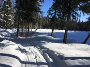 Pleasant Valley Outdoor Cabin on Yukon Quest Trail - Image 4