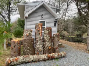 Kayak. Lake front. Tiny house. Fire pit. - Image 2