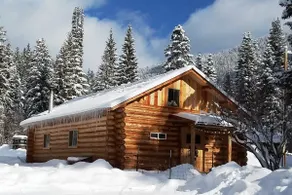 Sanctuary Farm Guest House Log Cabin - Image 2