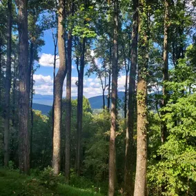 Walnut Mountain Escape - Wraparound Mountain Views - Image 3