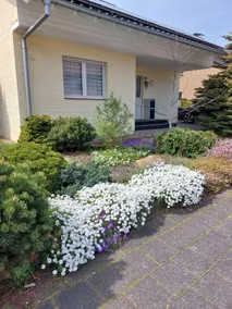 ModernCountryhouse Dormagen Zons rhine 30min fair - Image 2