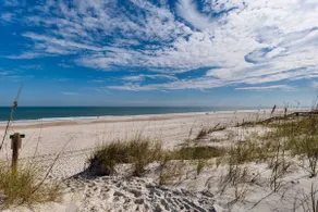 Quiet beach oasis, walk to the beach! - Image 5