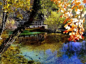 River house HRIB - Image 5
