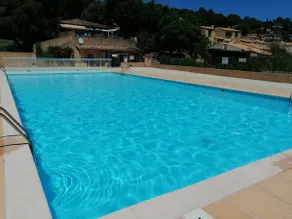 The palm trees at La Croix-Valmer - Image 2