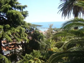 MINI ACCOMMODATION IN SANREMO LIGURIA - Image 4
