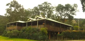 Blackwattle at Barrington Tops - Image 2