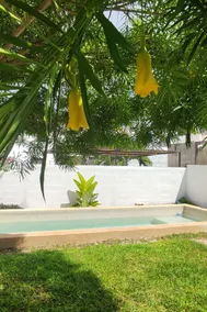Residence with a pool - Image 5