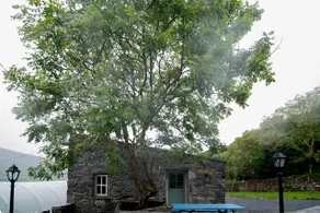 Fermoyle Properties Glynn's Cottage - Image 4