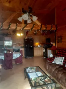 Creekside Cabin Retreat on Shaols Creek (private) - Image 4