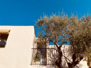 La Casa Siesta - Image 4