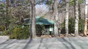 Upgraded kitchen pet friendly 2 kings 1m to resort - Image 3