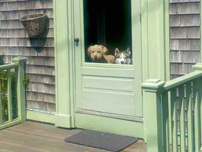 Off-season on Nantucket? Create magical memories! - Image 2