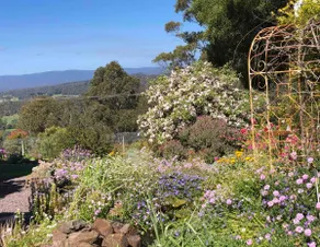 Relaxing dog-friendly rural retreat - Image 3