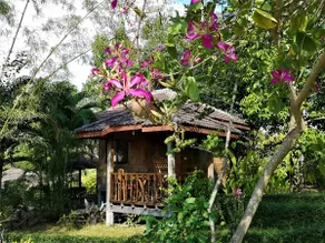 Nok Kow (Dove) Bungalow 1 - Image 4