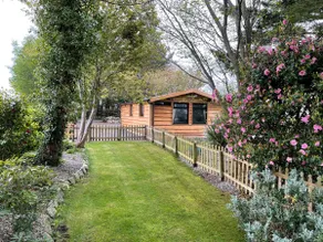 Snowdonia cabin - Image 2