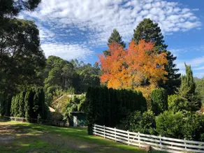 Redwood Haven, a beautiful 20 acre hobby farm. - Image 3