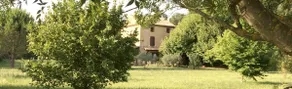 family house with a large garden (one mas) - Image 5
