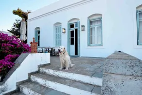 Captain's Mansion Exampela - Image 4
