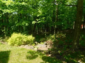 Bring Your Problems to Prettier Places - Image 5