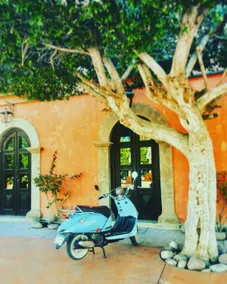 Summer Stays • Bright + Stylish in Loreto Bay 6pp - Image 4