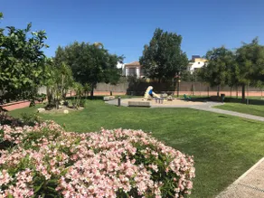 Casa Manzanilla - Image 4