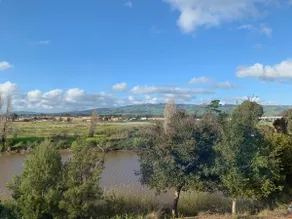 River's Beauty - Image 5