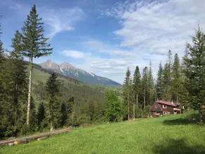 Childhood's Dream Cabin - Image 2