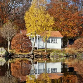 Wonderful cottage in fantastic nature by the lake Halen - Image 3